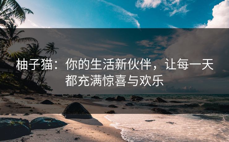 柚子猫：你的生活新伙伴，让每一天都充满惊喜与欢乐