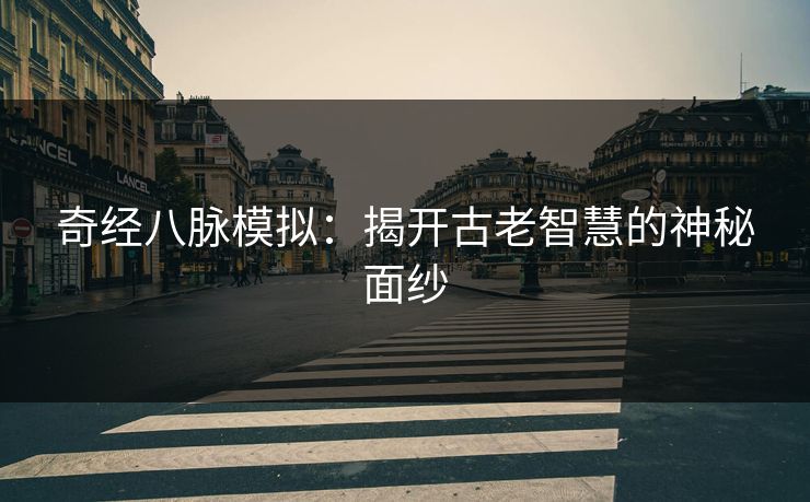 奇经八脉模拟：揭开古老智慧的神秘面纱