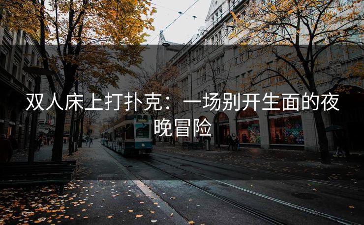 双人床上打扑克：一场别开生面的夜晚冒险