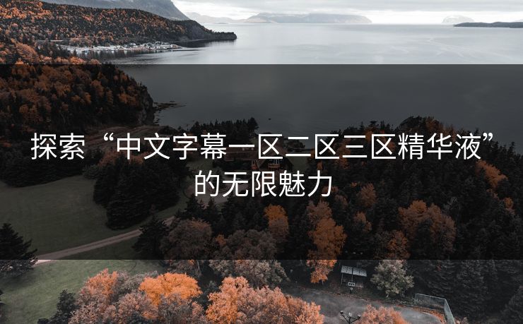 探索“中文字幕一区二区三区精华液”的无限魅力 探索“中文字幕一区二区三区精华液”的无限魅力