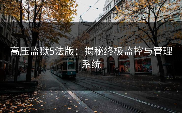 高压监狱5法版：揭秘终极监控与管理系统