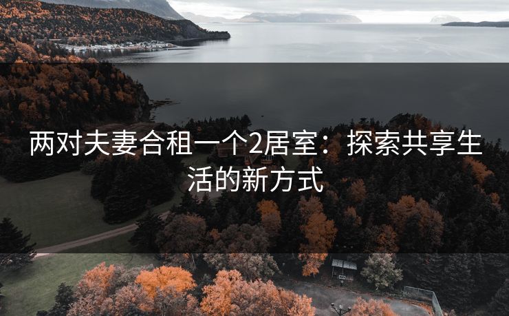 两对夫妻合租一个2居室：探索共享生活的新方式