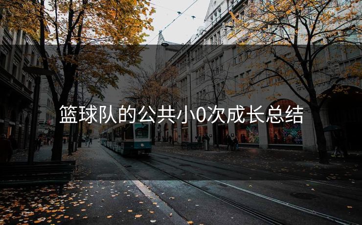 篮球队的公共小0次成长总结