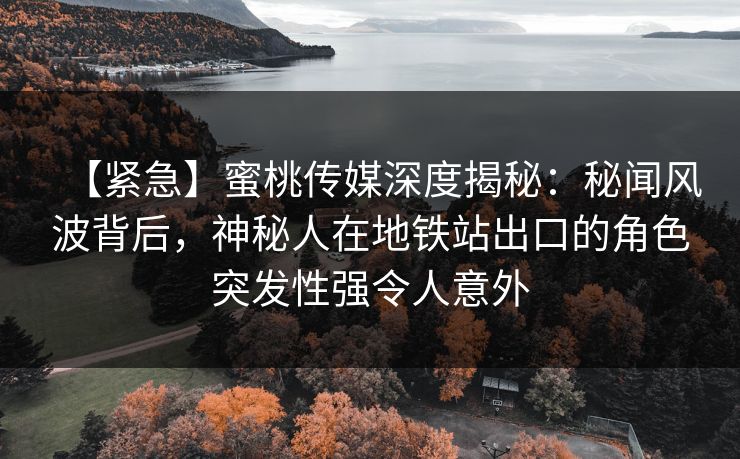 【紧急】蜜桃传媒深度揭秘:秘闻风波背后,神秘人在地铁站出口的角色突发性强令人意外 【紧急】蜜桃传媒深度揭秘:秘闻风波背后,神秘人在地铁站出口的角色突发性强令人意外