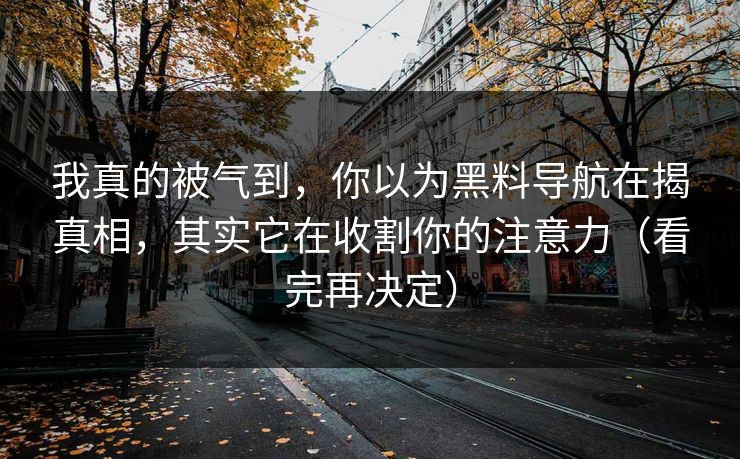 我真的被气到，你以为黑料导航在揭真相，其实它在收割你的注意力（看完再决定）