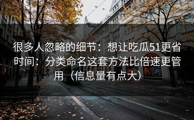很多人忽略的细节：想让吃瓜51更省时间：分类命名这套方法比倍速更管用（信息量有点大）